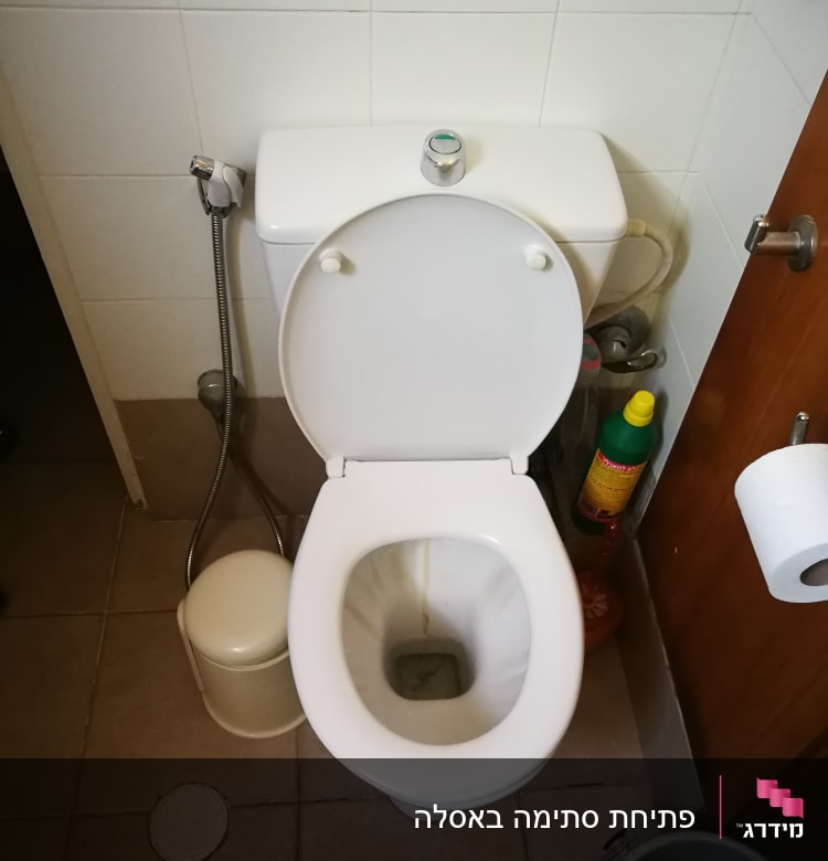 אסלה עם מיכל הדחה, מברשת ניקוי וחומר ניקוי